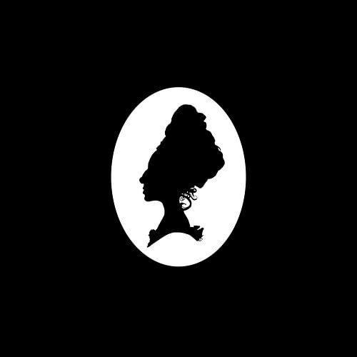 Silhouette d'une beauté dans un cadre noir
