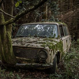 Verlaten auto in het bos van Stefan Verhulp