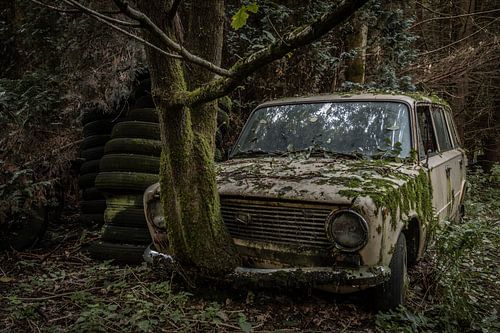 Abandoned car in the forest by Stefan Verhulp