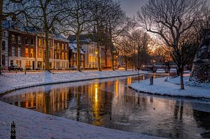 Maliesingel mit Schlusslicht (Winter 2021)