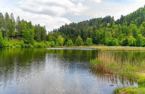 Nonnenmattweiher in Duitsland