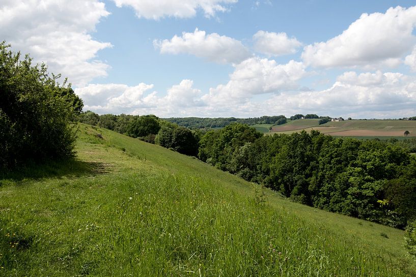 landschaft von sint pietersberg in Limburg von W J Kok