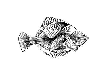 Poster Platvis - lijntekening - zwart wit - vis - illustratie van Studio Tosca