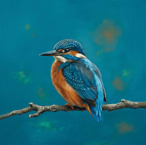 Kingfisher in Turquoise – Detailed Bird Portrait