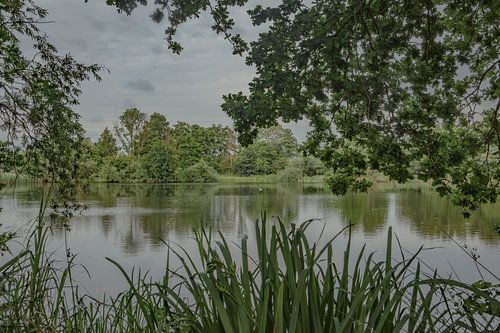 natuurgebied leuringsveld
