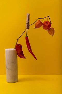 In een vaas staat de een tak van de lampionnen plant. Aan een wasknijper hangt een rode peper. van Lieke van Grinsven van Aarle