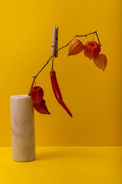 In een vaas staat de een tak van de lampionnen plant. Aan een wasknijper hangt een rode peper. van Lieke van Grinsven van Aarle