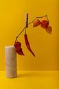 In een vaas staat de een tak van de lampionnen plant. Aan een wasknijper hangt een rode peper. van Lieke van Grinsven van Aarle thumbnail