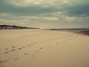 Voetsporen in het zand van Martijn Tilroe