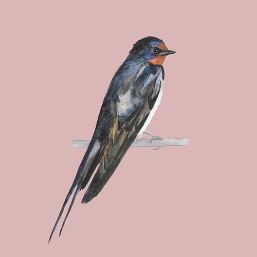 Barn swallow by Dune designs