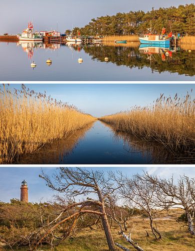 Dromen van de zee: Darsser Ort