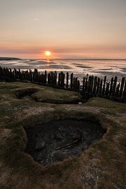 De praam van Moddergat in volle glorie