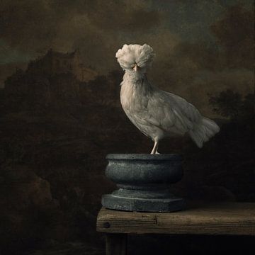 Dutch Crested Hens by Carolien van Schie