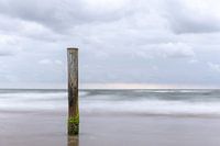 Palendorp Petten