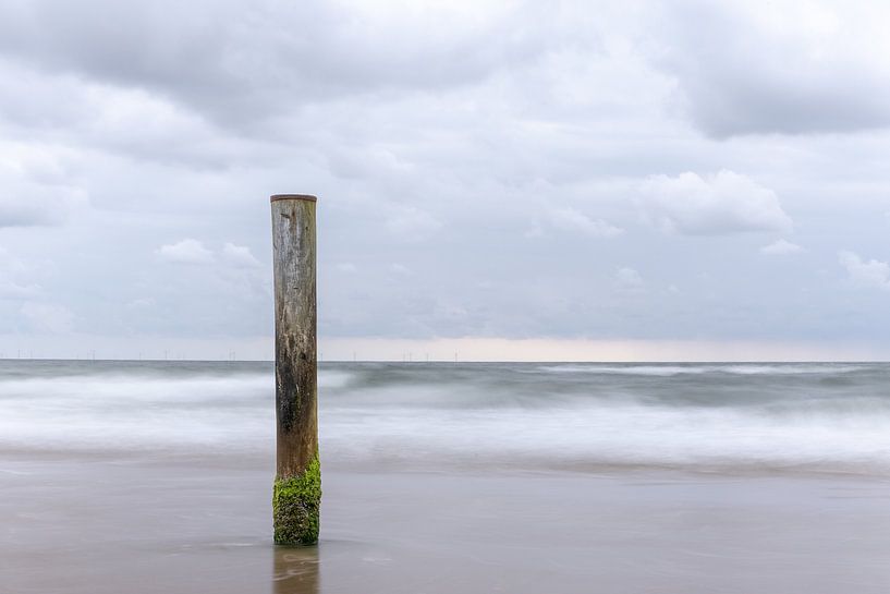 Palendorp Petten par van Veen Allround Photography