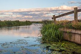 Sommerabend im Binnenveld von Bert van Wijk