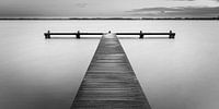 Black and white photograph of the Zuidlaardermeer by Henk Meijer Photography thumbnail