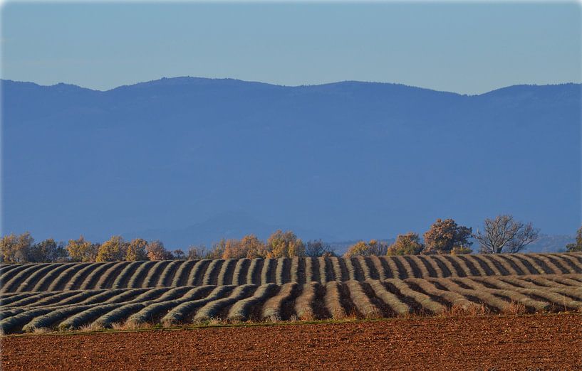 Zenitude von Georges Rudolph