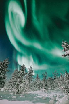 Aurora borealis boven het bos | reisfotografie print | Saariselkä Lapland van Kimberley Jekel