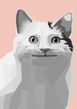 Katze