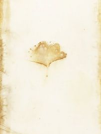 Ecoprint Ginkgo-Blatt von Liesbeth Bulk