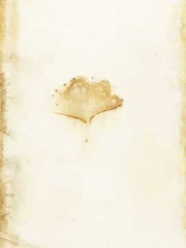 Ecoprint Ginkgo blad
