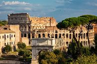 Das Kolosseum in Rom von Anton de Zeeuw Miniaturansicht