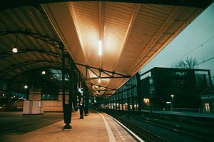Bahnhof Haarlem – geschwungene Bahnsteighalle & Abendstimmung | urbane Bahnfotografie