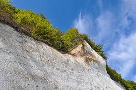 Chalk cliffs in the Stubbenkammer - chalk quarry by GH Foto & Artdesign