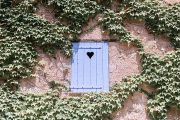 Provençaalse Charme: Blauwe Luiken en Klimop van DsDuppenPhotography