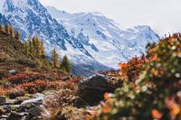 Uitzicht op de gletsjer in de herfst, Mont-Blanc, Chamonix | Landschapsfotografie