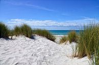 At the west beach of Fischland by Joachim G. Pinkawa thumbnail