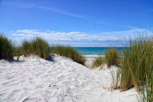 Aan het westelijk strand van Fischland