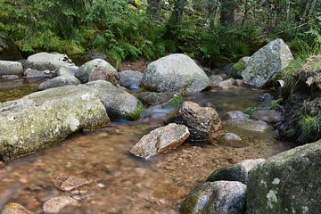 Felsen im Wasser von Cor Brugman