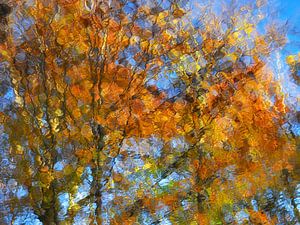 Zonnige herfst van Jeannet Zwols  Fotografie