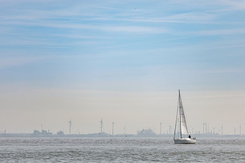 Sailing ship on the Westerschelde by Percy's fotografie