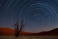 Star Trails von Namibia, Karen Deakin von 1x Miniaturansicht
