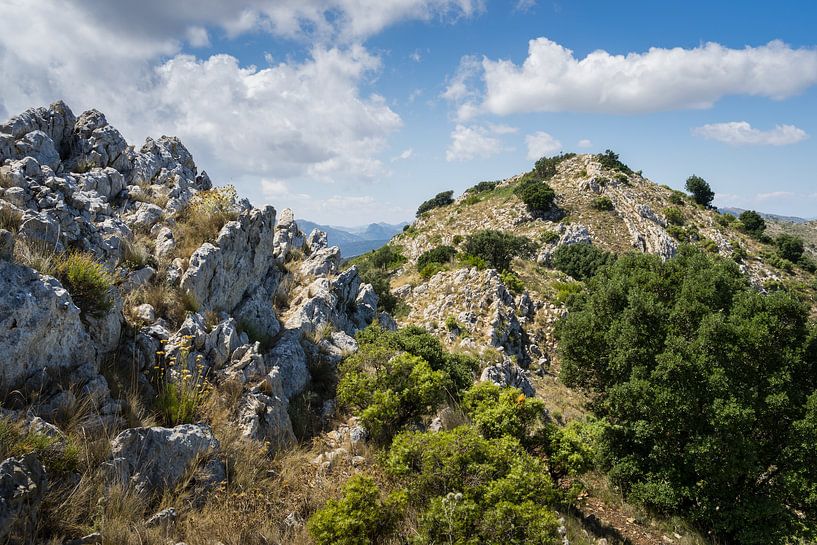 Berglandschaft und Wolken 1 von Adriana Mueller