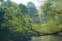 Zonlicht, Kronenburgerpark, Nijmegen, Nederland