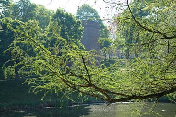 Zonlicht, Kronenburgerpark, Nijmegen, Nederland van themovingcloudsphotography