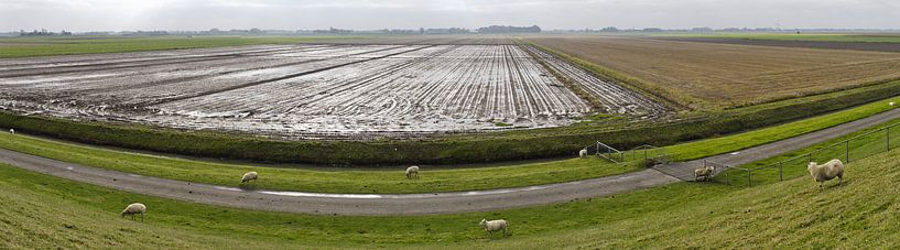 Uitzicht Zuid by Robert Schild