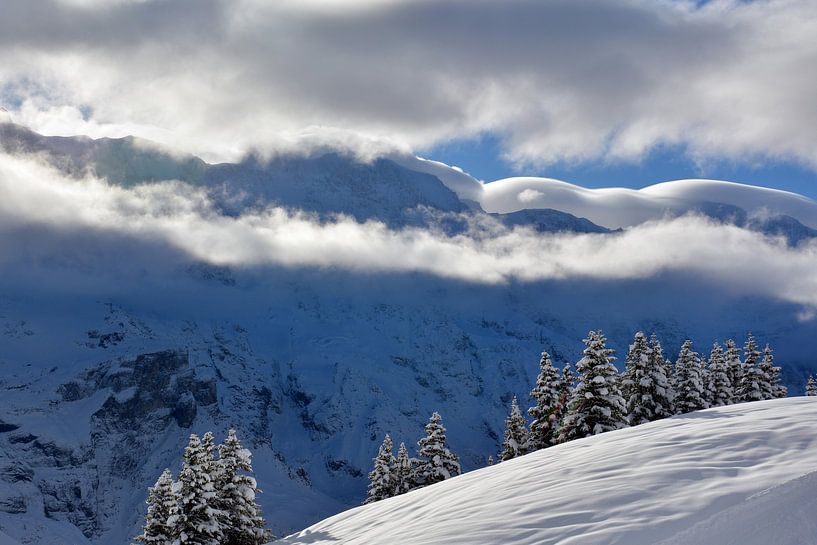 Schneewolken von Bettina Schnittert
