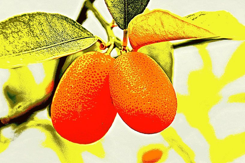 one orange kumquat fruit mixed media by Werner Lehmann