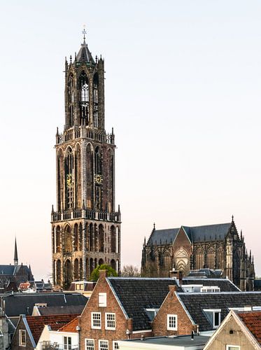 Dom van Utrecht met Kathedraal