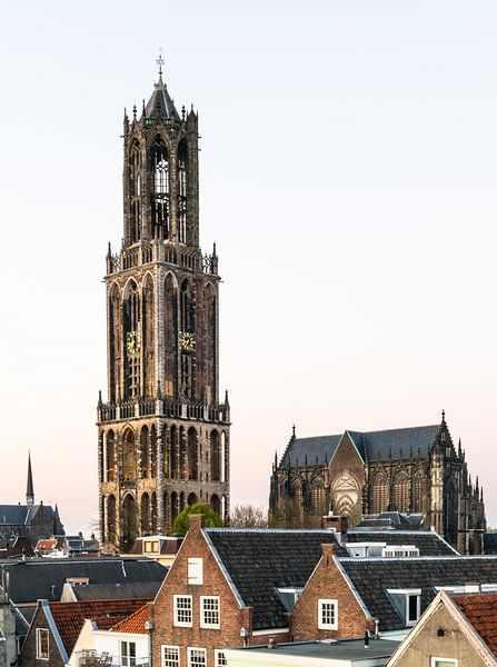 Kathedrale von Utrecht von Hans Verhulst