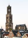 Dom van Utrecht met Kathedraal van Hans Verhulst thumbnail