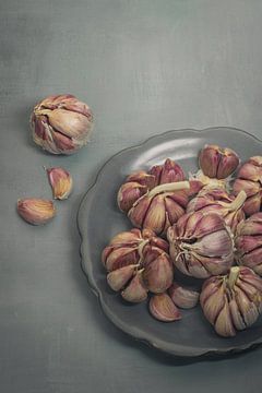 Still life, Garlic (Allium sativum) in soft shades of lilac and grey by Oda Slofstra