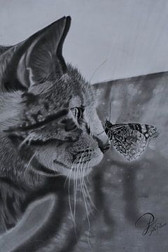 Kat & vlinder van Joëlle Pekaar