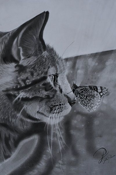 Cat &amp; butterfly by Joëlle Pekaar