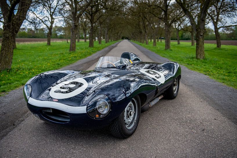 Jaguar D-Type Le Mans by Niko Bloemendal